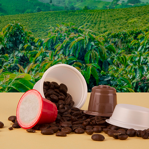 Cialde_web Cialde caffè bio