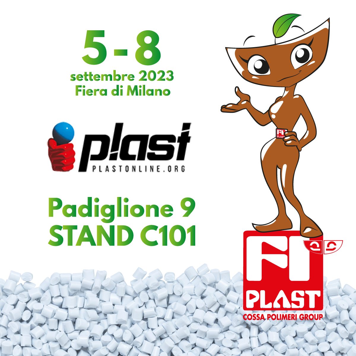 post-fiplast post-fiplast